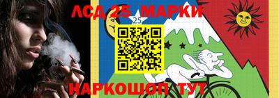 гидропоника Можайск
