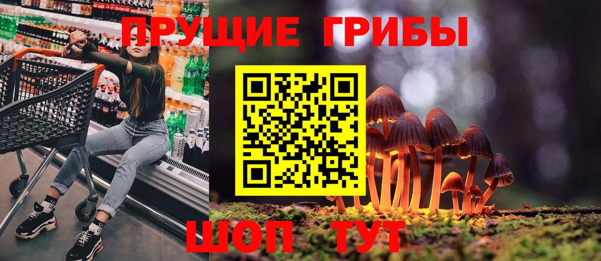 Псилоцибиновые грибы прущие грибы Удомля