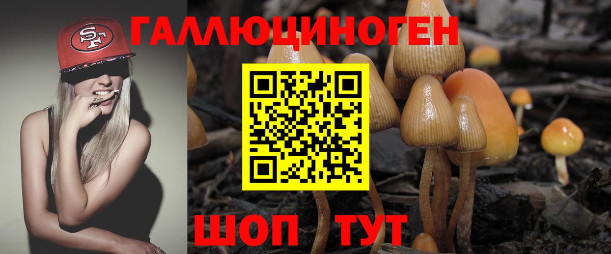 Удомля  Псилоцибиновые грибы GOLDEN TEACHER  Вход с VPN 